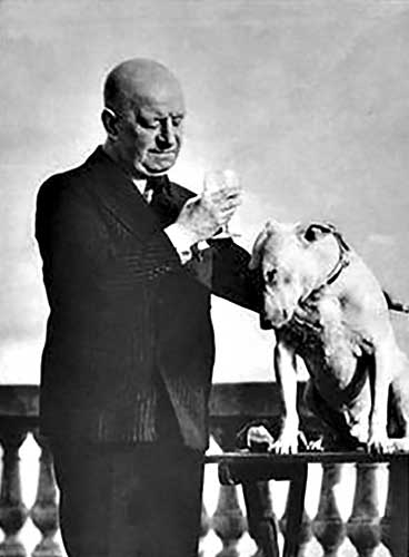 Harry Preston with his beloved bull terrier